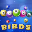 Bingo Birds