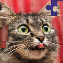 Grappige Katten: Een Puzzel