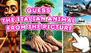 Guess the Italian Animal from the Picture