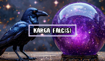 Karga Falcısı