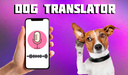 Dog translator