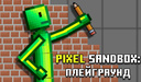 Pixel Sandbox: Плейграунд