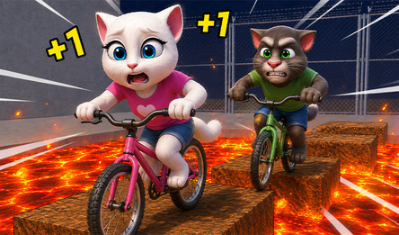 Cats on Bicycles