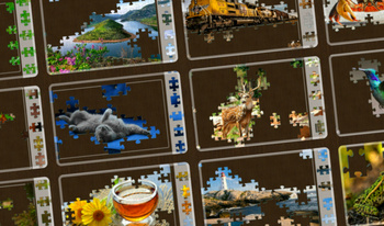 Vivos Puzzles