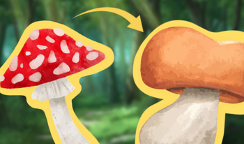 Mushrooms Merge 2048! Collect all