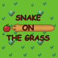 Snake on the grass