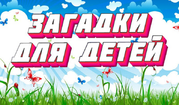 Загадки для детей.