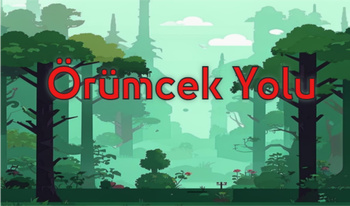 Örümcek Yolu