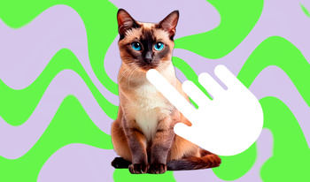 The Clicker of Cats