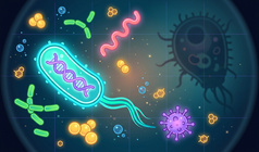 Bacteria Simulator