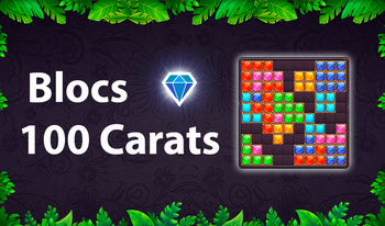 Blocs 100 Carats