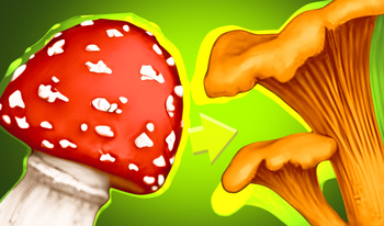 Connect Mushrooms