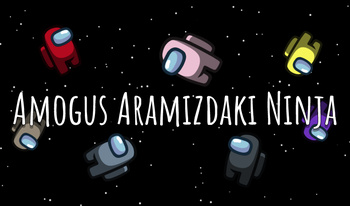 Amogus Aramızdaki Ninja