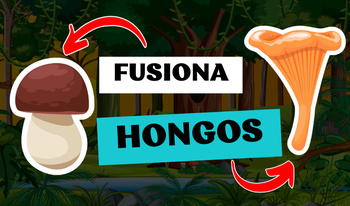 Fusiona Hongos