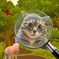 Gra Hidden Objects 3D: mindfulness test