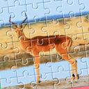 Résolvez le puzzle - nature et animaux