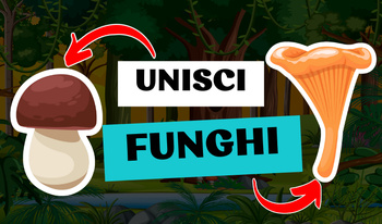 Unisci Funghi