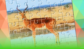 Risolvi il puzzle: natura e animali