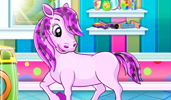 Pony Pet Salon