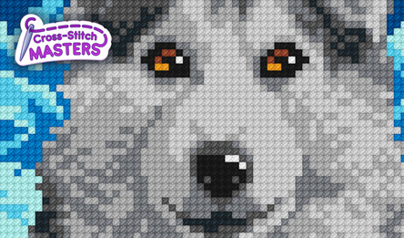 Cross Stitch Masters