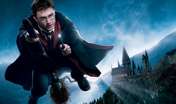 Quiz on the movie "Harry Potter"