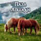 Gra Horses Jigsaw Puzzle