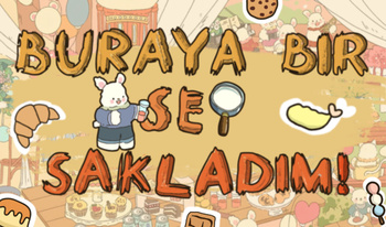 Buraya bir şey sakladım!