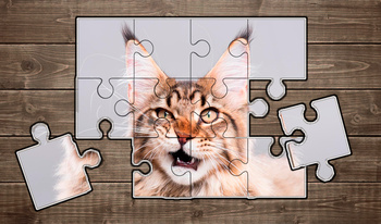 Puzzle Funny Cats