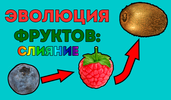 Эволюция фруктов: Слияние