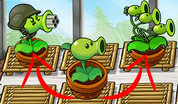 Garden Plants Vs Zombies!