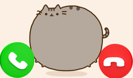 Call Pusheen