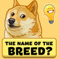 Trivia Quiz: Dog Breeds