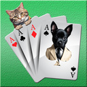 İnanılmaz Solitaire