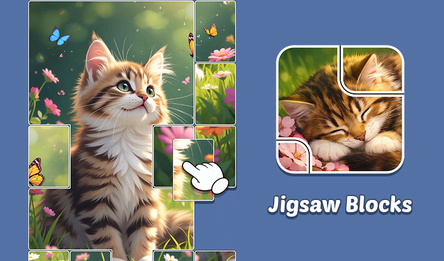 Jigsaw Blocks