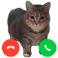 Call the cat Oia Oia: Clicker