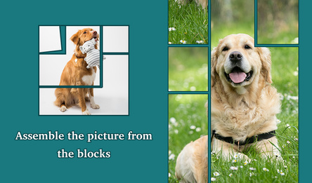 Assemble the picture from the blocks