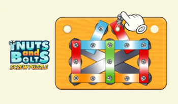 Nuts And Bolts Screw Puzzle