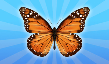Butterflies: 2048!