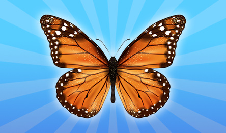 Butterflies: 2048!
