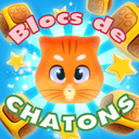 Blocs de chatons