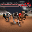 Greyhound Racing