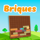 Briques