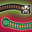 Snake Fight to Death