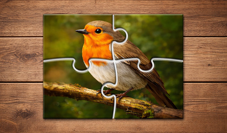 Relax Jigsaw Puzzles: Puzzle Games for Adults