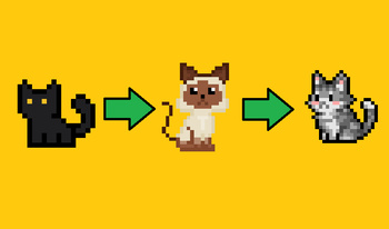 Click on the cat