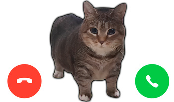 Call the cat Oia Oia: Clicker