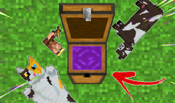 What's in the chest?! "Heat of Nether"