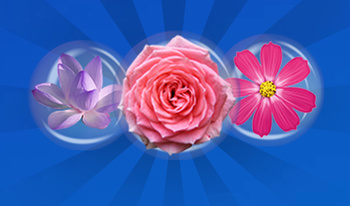 Connect the Flowers: Flower Kaleidoscope