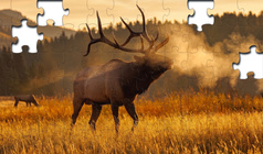 Relax Jigsaw Puzzles