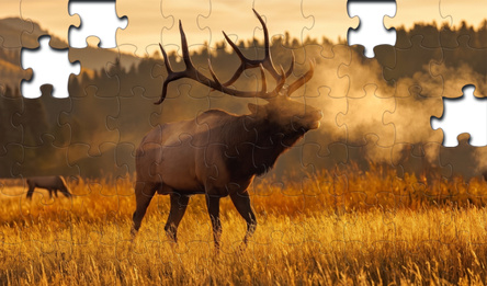 Relax Jigsaw Puzzles
